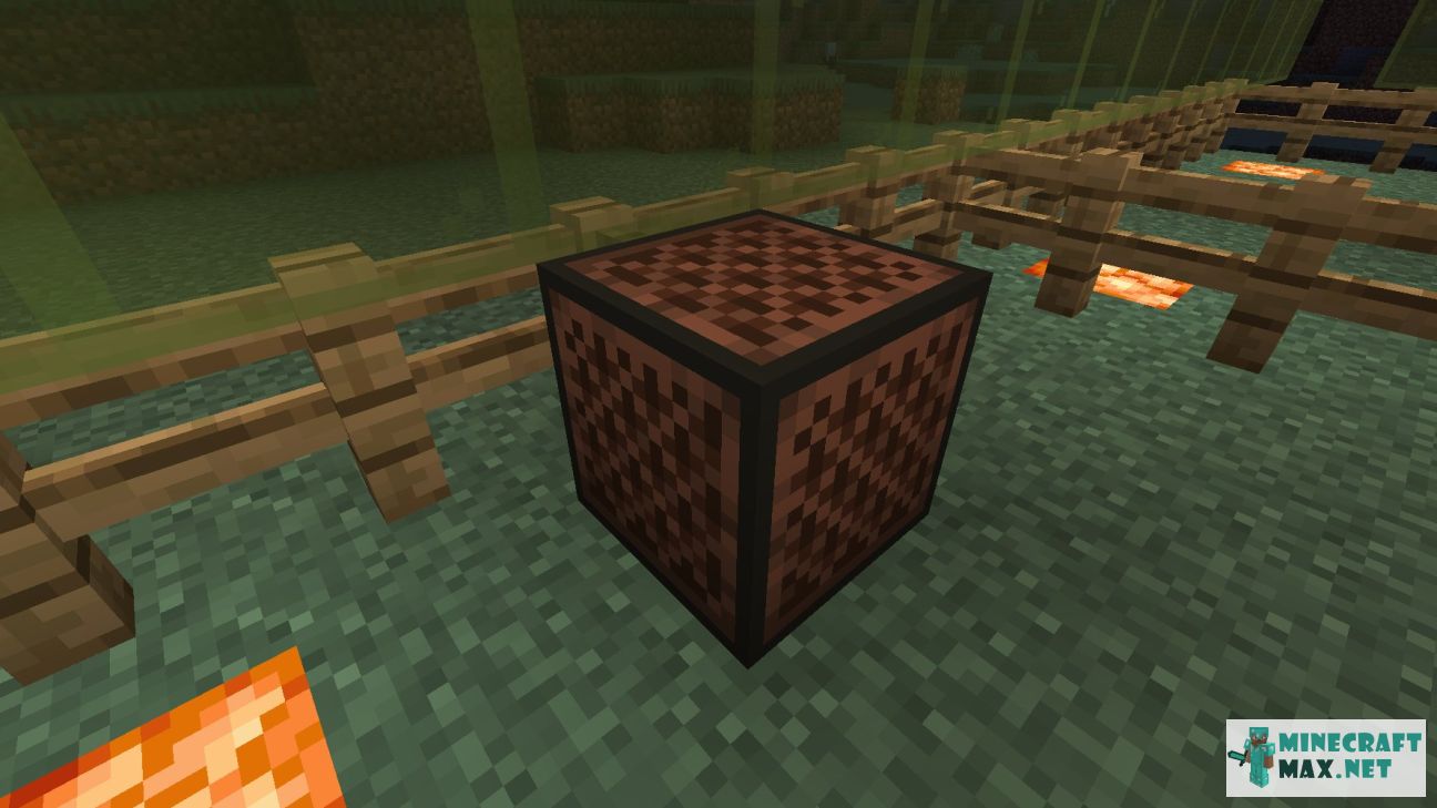 Black gem in Minecraft | Screenshot 165