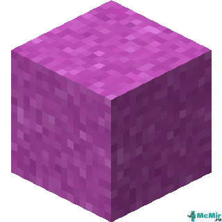 Пурпурный сухой бетон в Майнкрафте