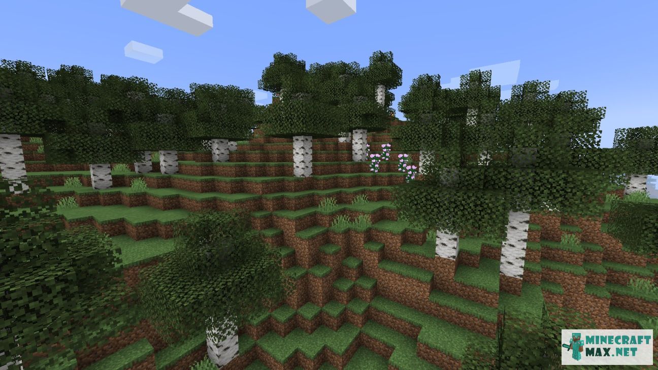 Modem in Minecraft | Screenshot 3499