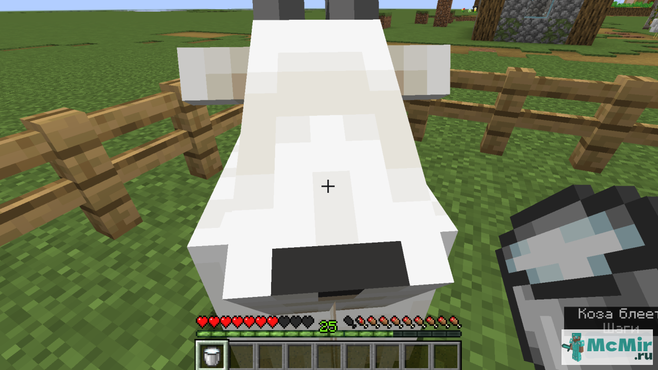 Квест Подоить козу в Майнкрафт | Screenshot 8