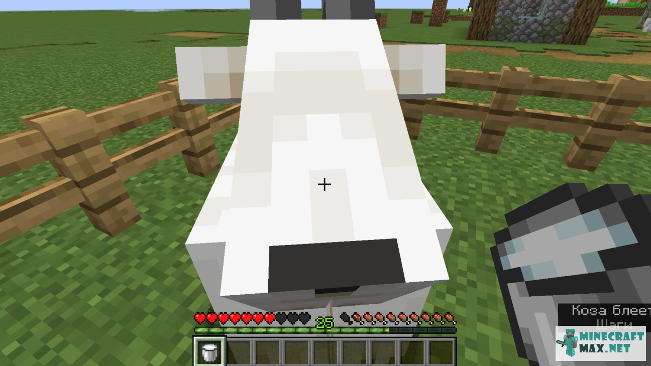 Veiciet uzdevumu Подоить козу programmā Minecraft | Screenshot 8