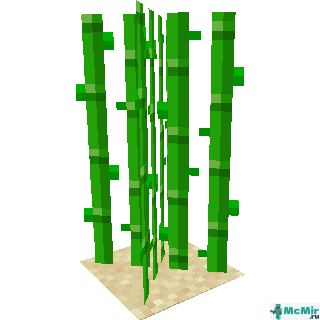 Растущий сахарный тростник в Майнкрафте