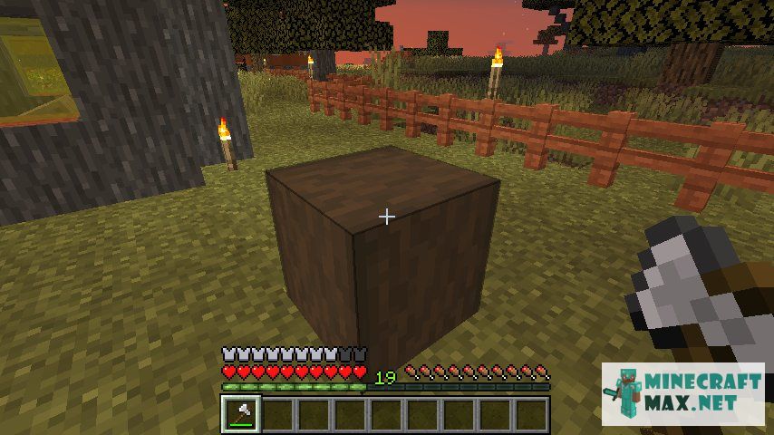 Black gem in Minecraft | Screenshot 2911