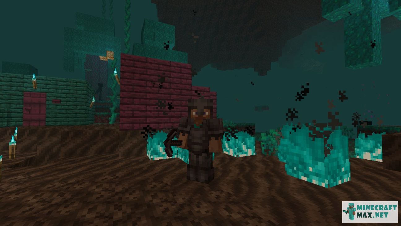 Black gem in Minecraft | Screenshot 2023