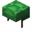 Turtle Shell in Minecraft