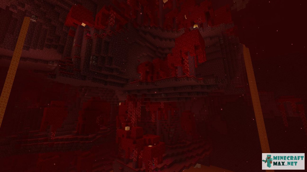 Black gem in Minecraft | Screenshot 3512