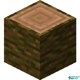 Jungle Log in Minecraft