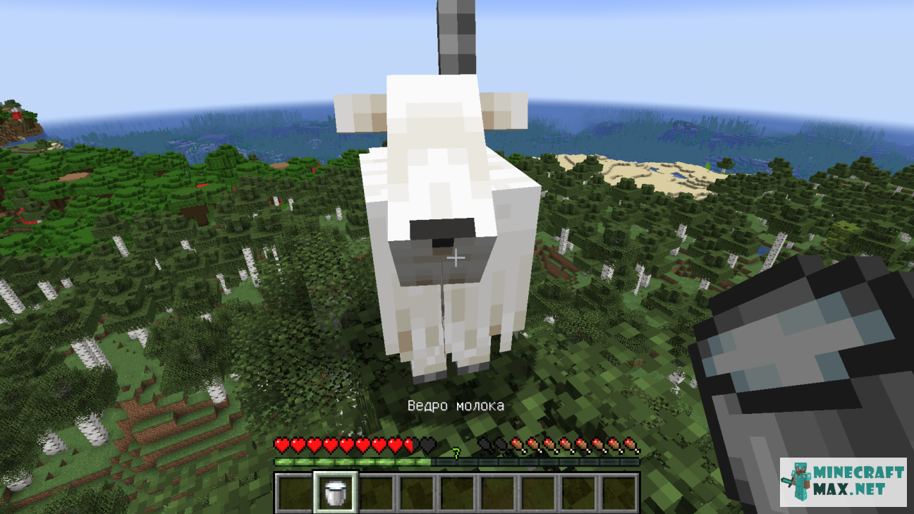 Veiciet uzdevumu Подоить козу programmā Minecraft | Screenshot 5