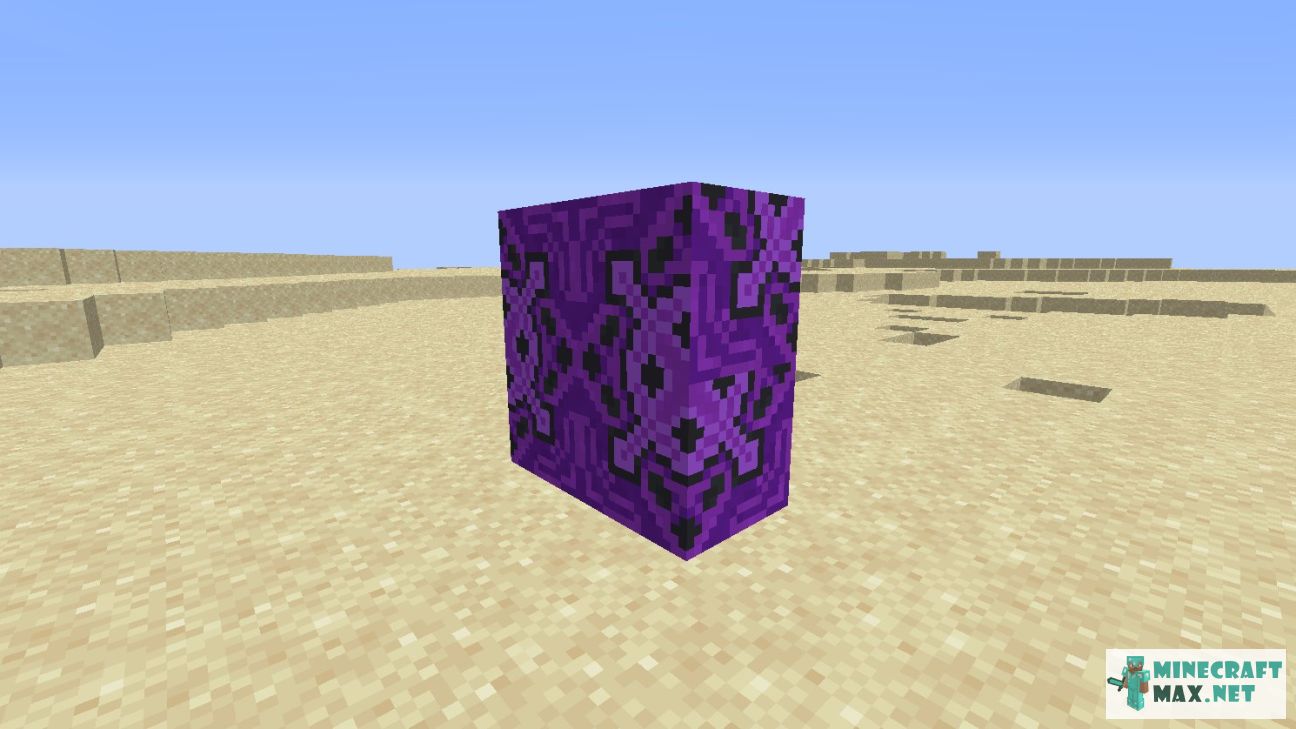 Black gem in Minecraft | Screenshot 2364