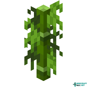 Bamboo Shoot in Minecraft