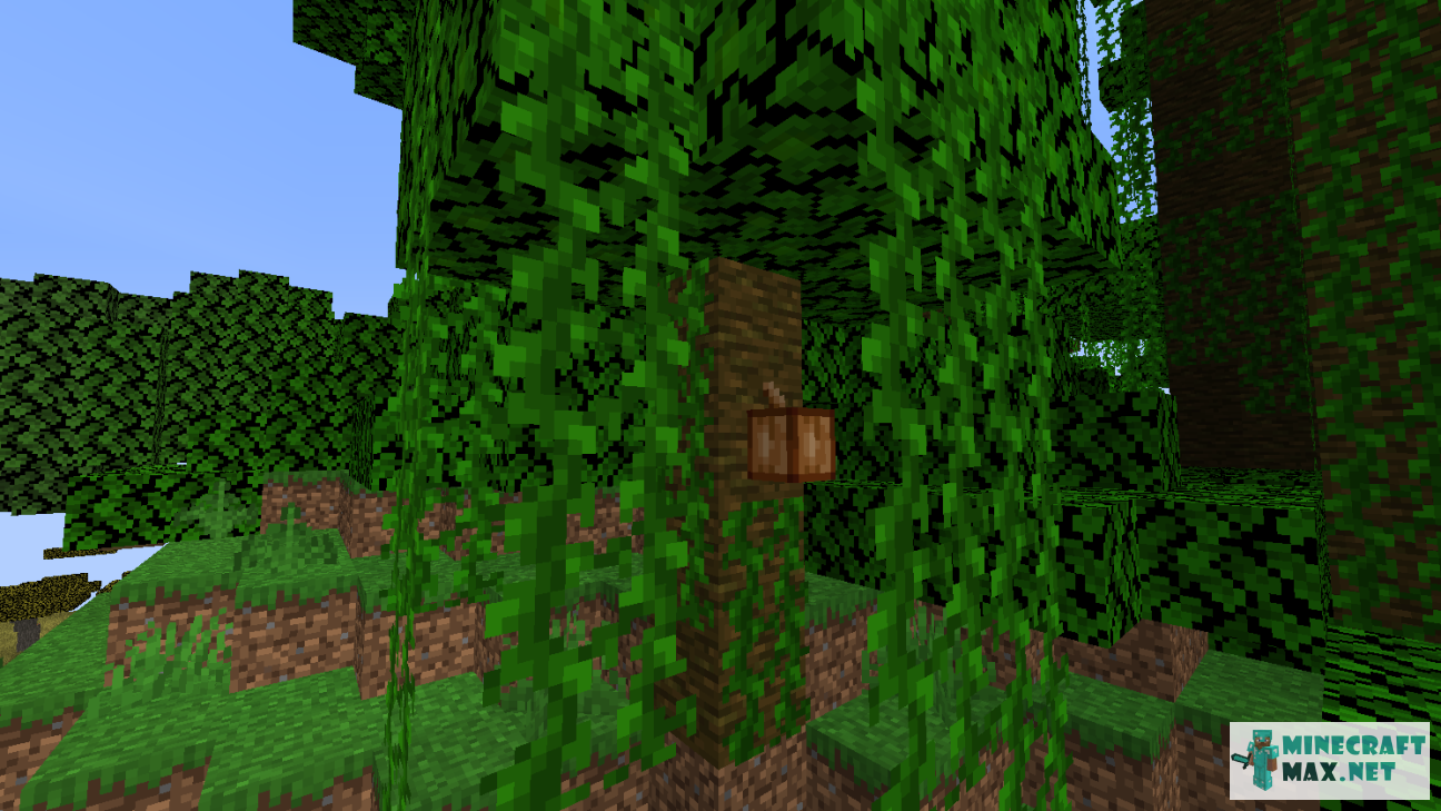 Modem in Minecraft | Screenshot 964