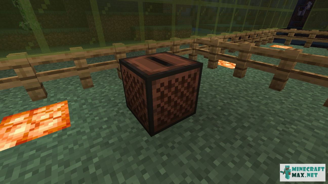 Black gem in Minecraft | Screenshot 167
