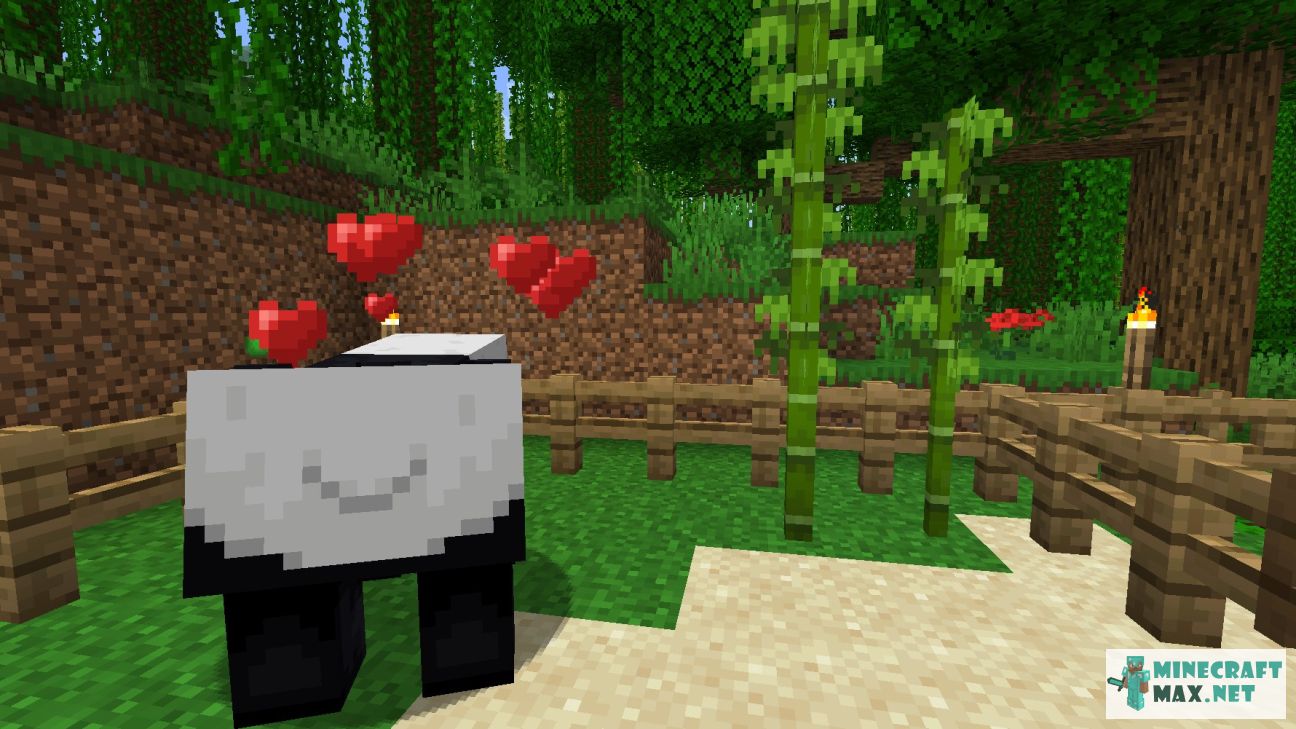 Minecraft: Panda Breeding for Beginners