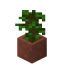 Potted Jungle Sapling in Minecraft