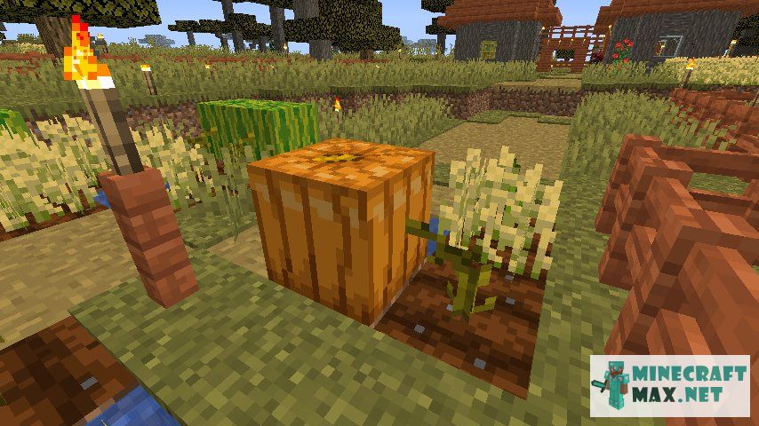 Pumpkin Stem How To Craft Pumpkin Stem In Minecraft Minecraft Wiki