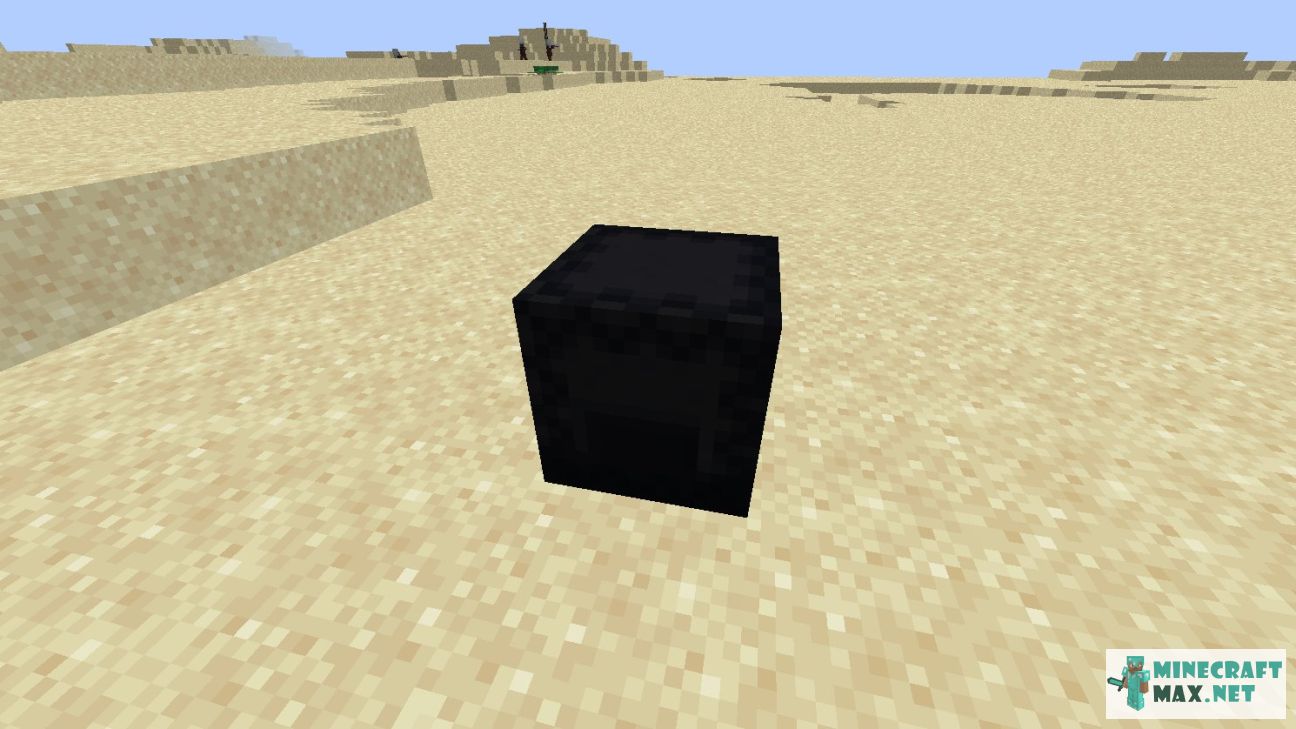 Black Shulker Box in Minecraft | Screenshot 2