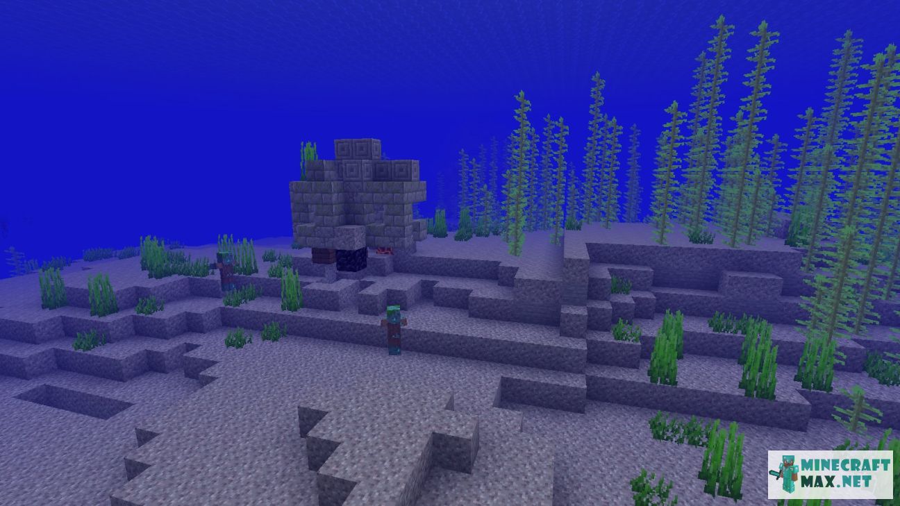 Black gem in Minecraft | Screenshot 3507