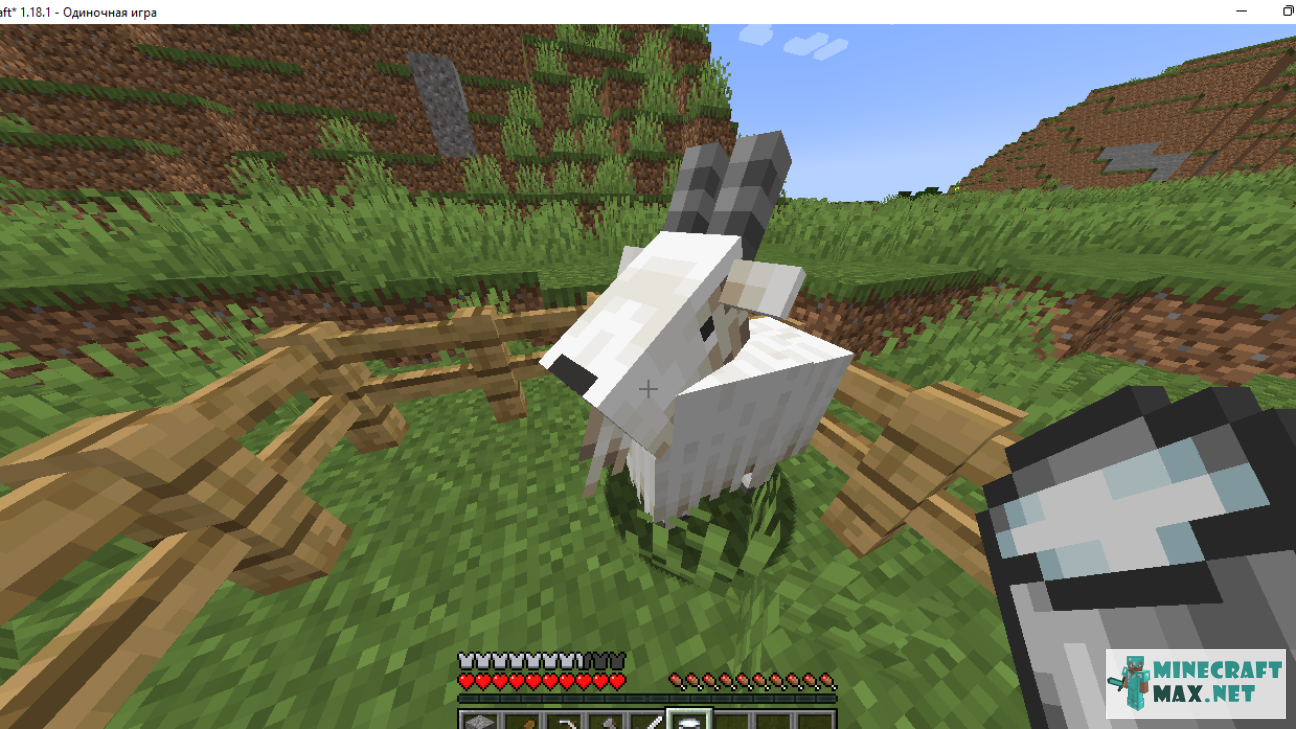 Veiciet uzdevumu Подоить козу programmā Minecraft | Screenshot 9