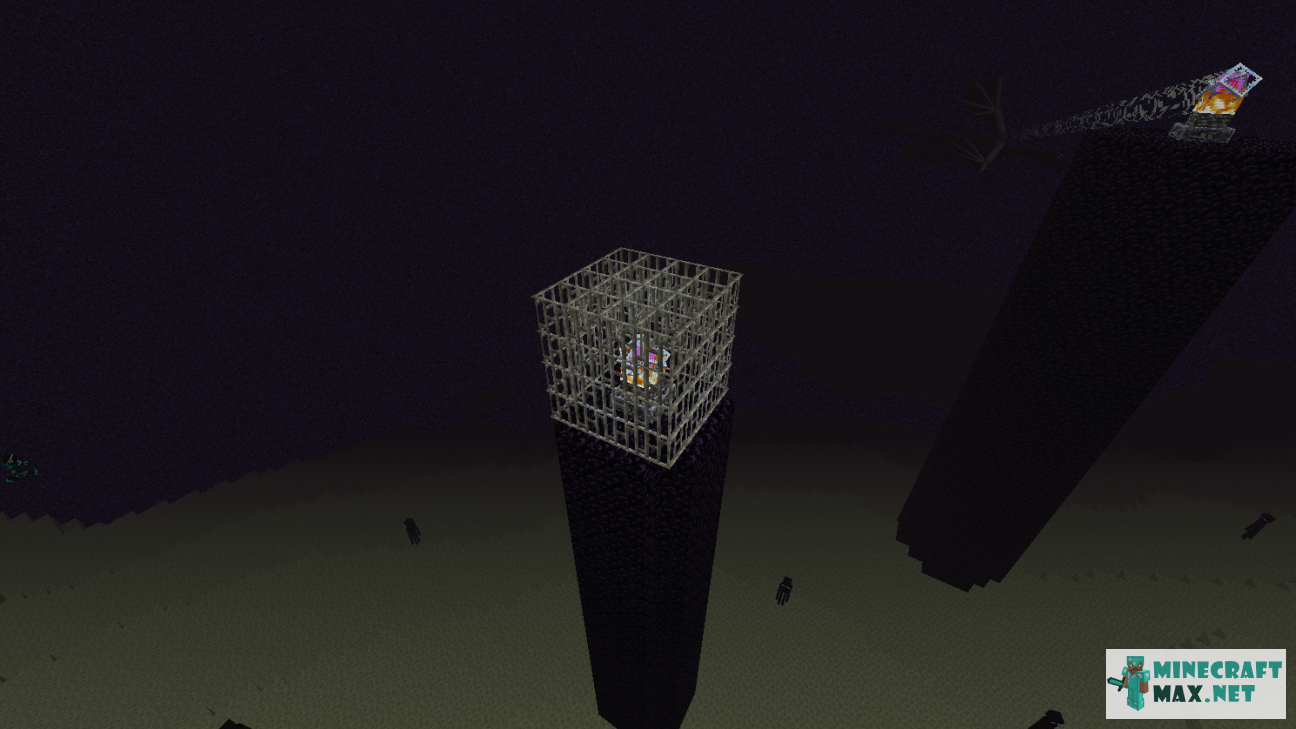 Black gem in Minecraft | Screenshot 1529