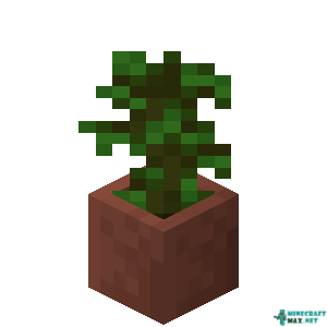 Potted Jungle Sapling in Minecraft