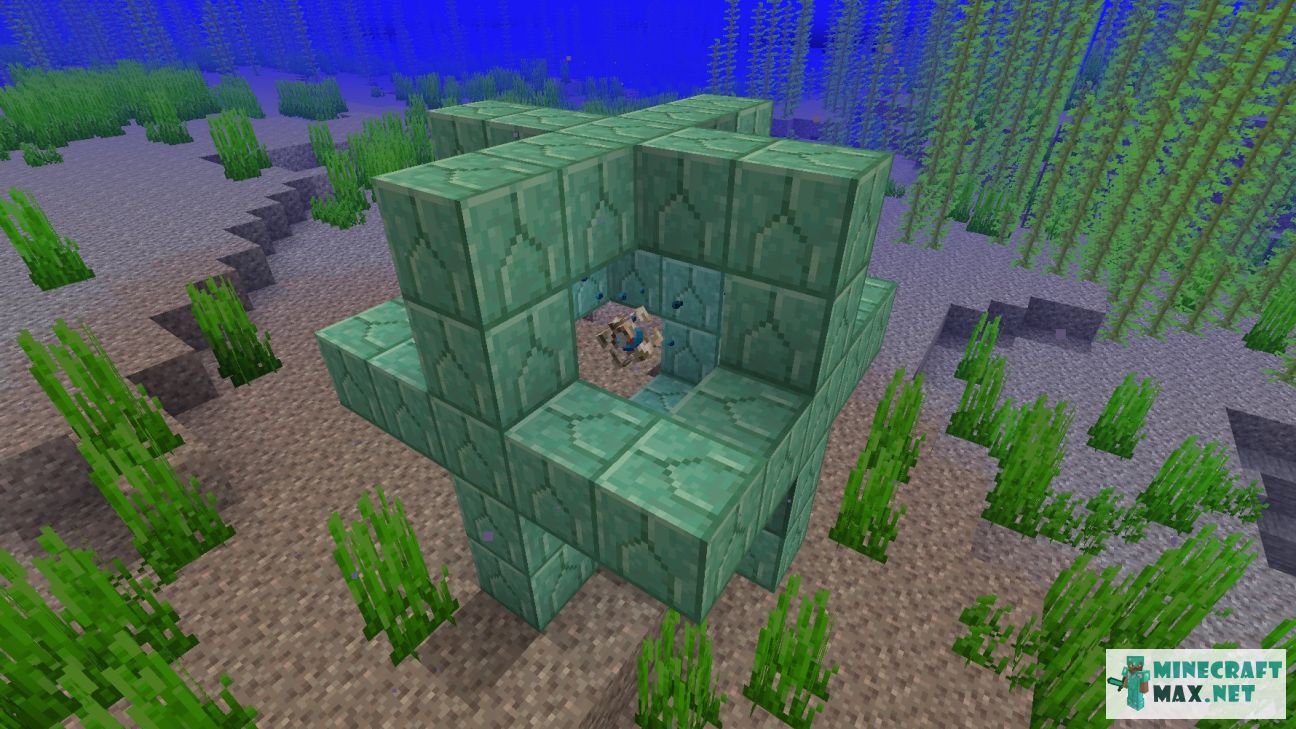 Modem in Minecraft | Screenshot 3708