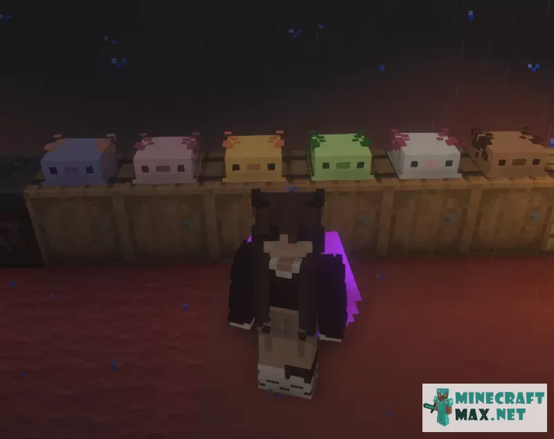 Axolotl Hats | Download texture for Minecraft: 1