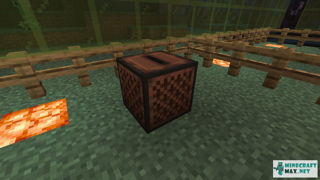 Black gem in Minecraft | Screenshot 1519