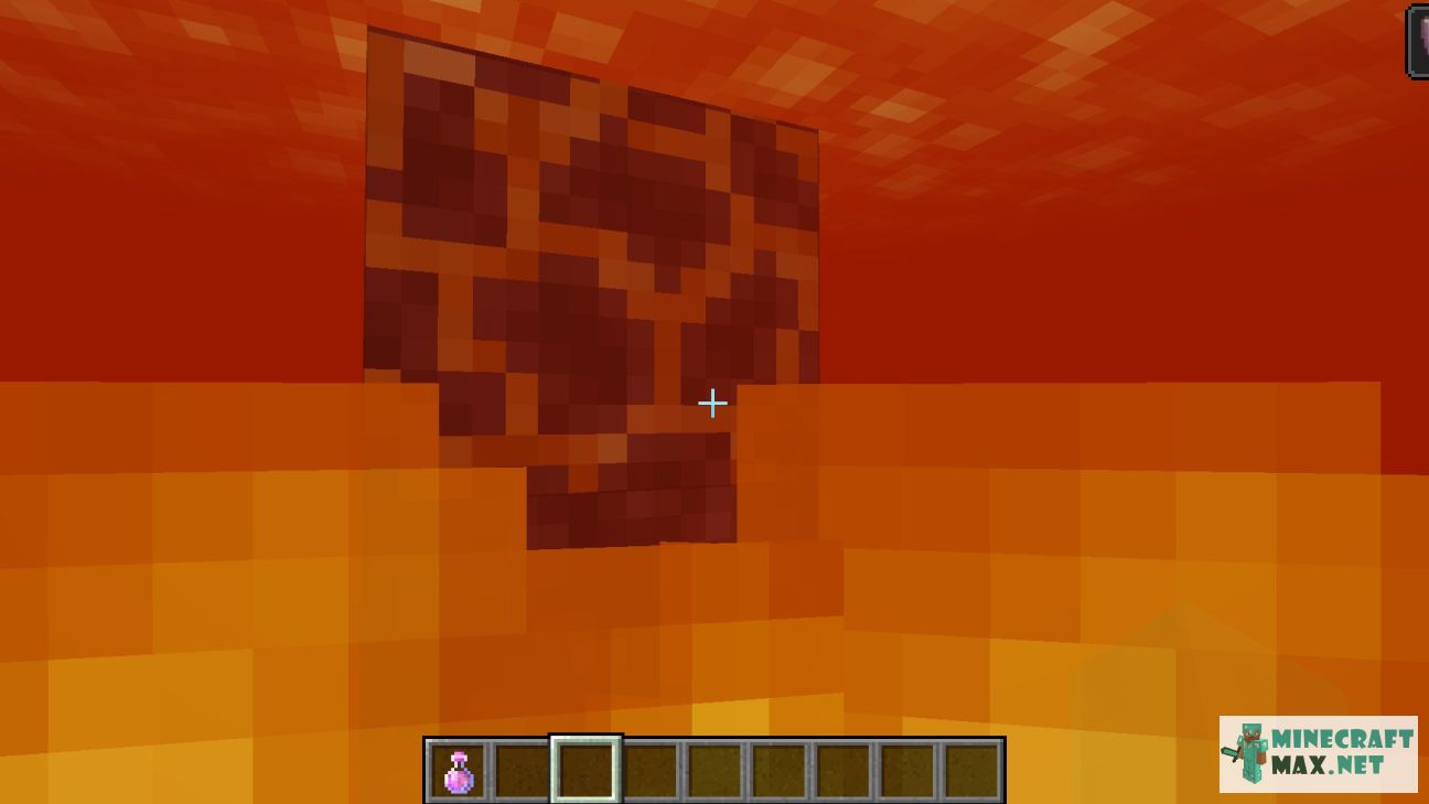 Black gem in Minecraft | Screenshot 3746