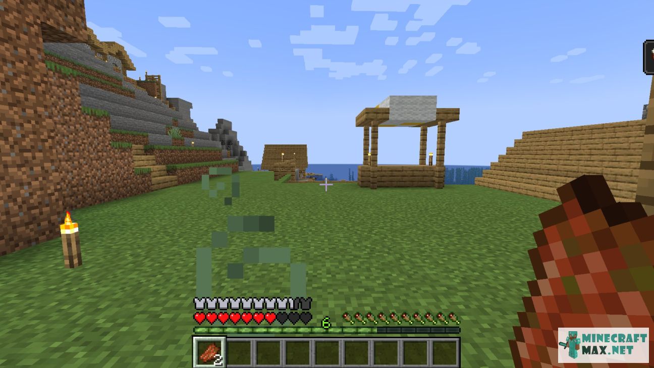 Black gem in Minecraft | Screenshot 3764