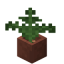 Potted Fern in Minecraft