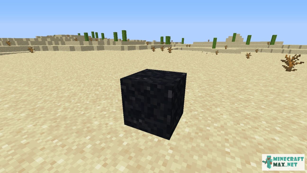 Black gem in Minecraft | Screenshot 2684