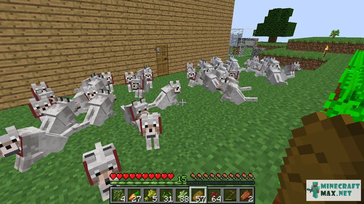 Quests Tame a pack of 10 or more wolves for Minecraft | Screenshot 2