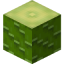 Bamboo Brish in Minecraft