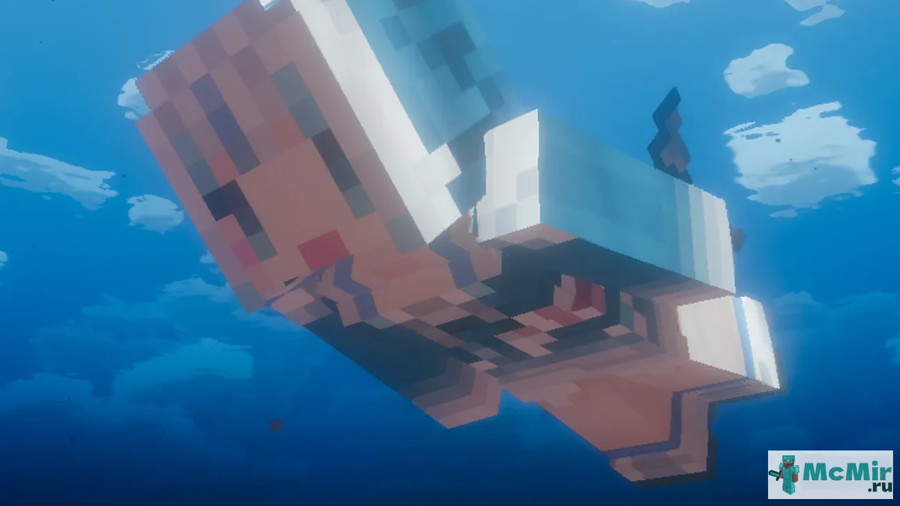Текстура Дельфин | Скачать текстуру для Minecraft: 1