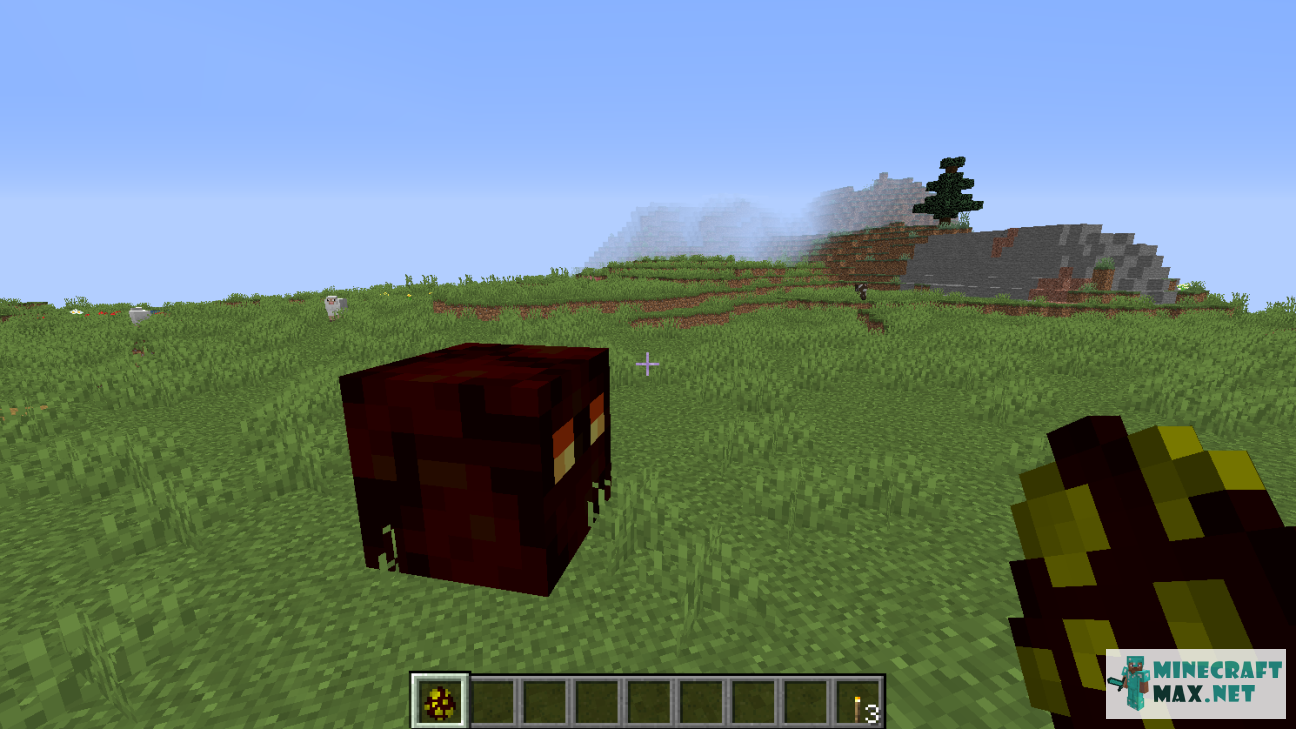 Modem in Minecraft | Screenshot 1466