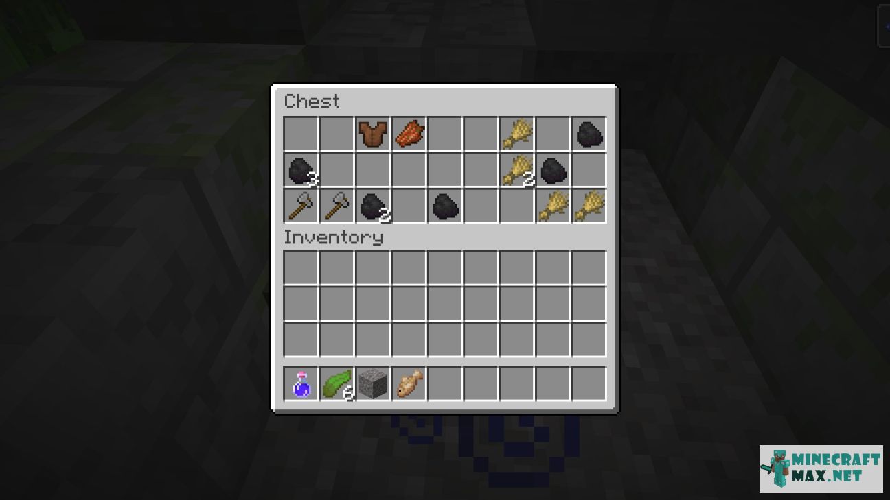 Black gem in Minecraft | Screenshot 3064