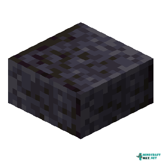Polished Blackstone Slab in Minecraft