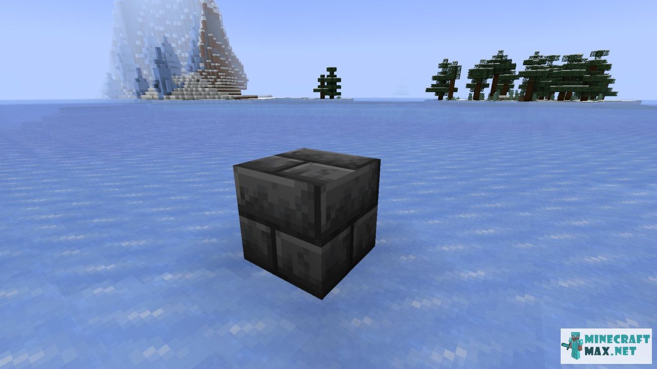 Black gem in Minecraft | Screenshot 3428