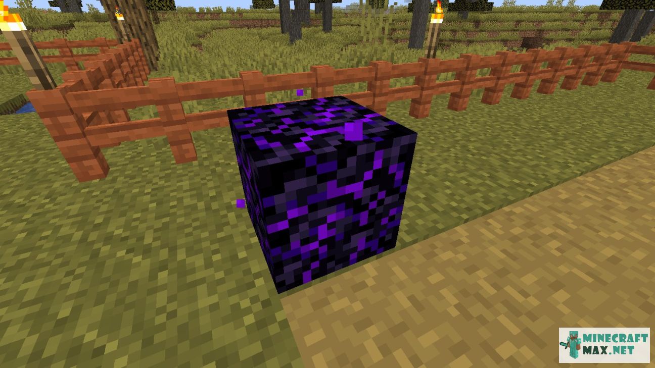 Black gem in Minecraft | Screenshot 2641