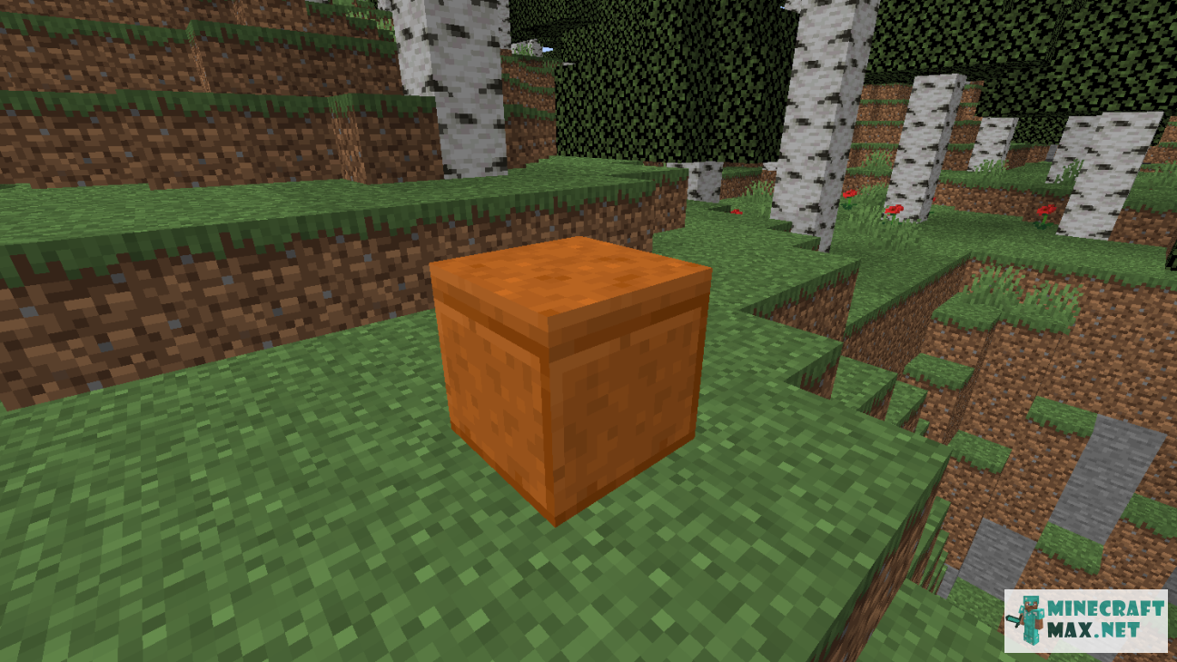 Modem in Minecraft | Screenshot 1870