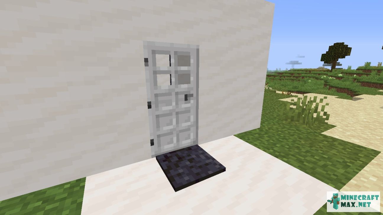 Polished Blackstone Pressure Plate in Minecraft | Screenshot 1