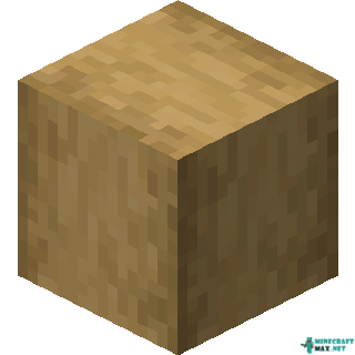 Stripped Oak Wood in Minecraft