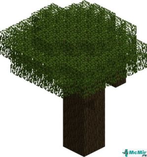 Тёмный дуб (дерево) в Майнкрафте