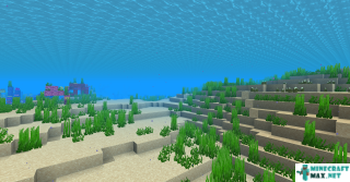 Deep Warm Ocean in Minecraft