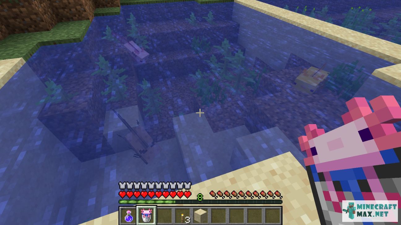 Bucket of Axolotl in Minecraft | Screenshot 1