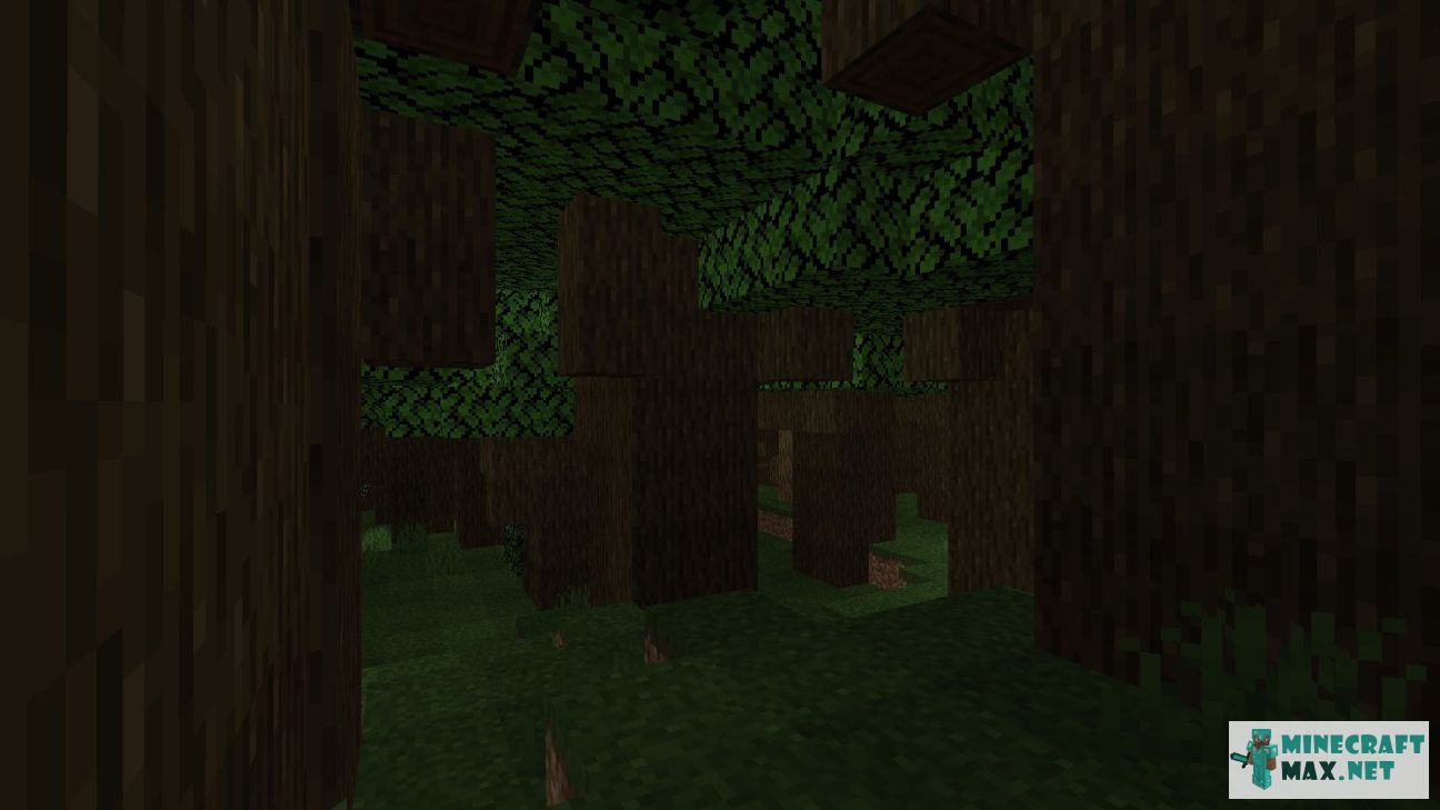 Black gem in Minecraft | Screenshot 608