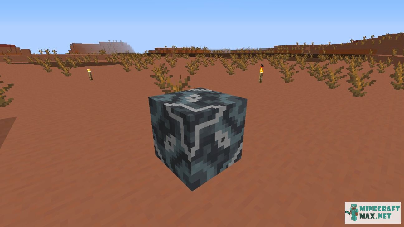 Black gem in Minecraft | Screenshot 2314