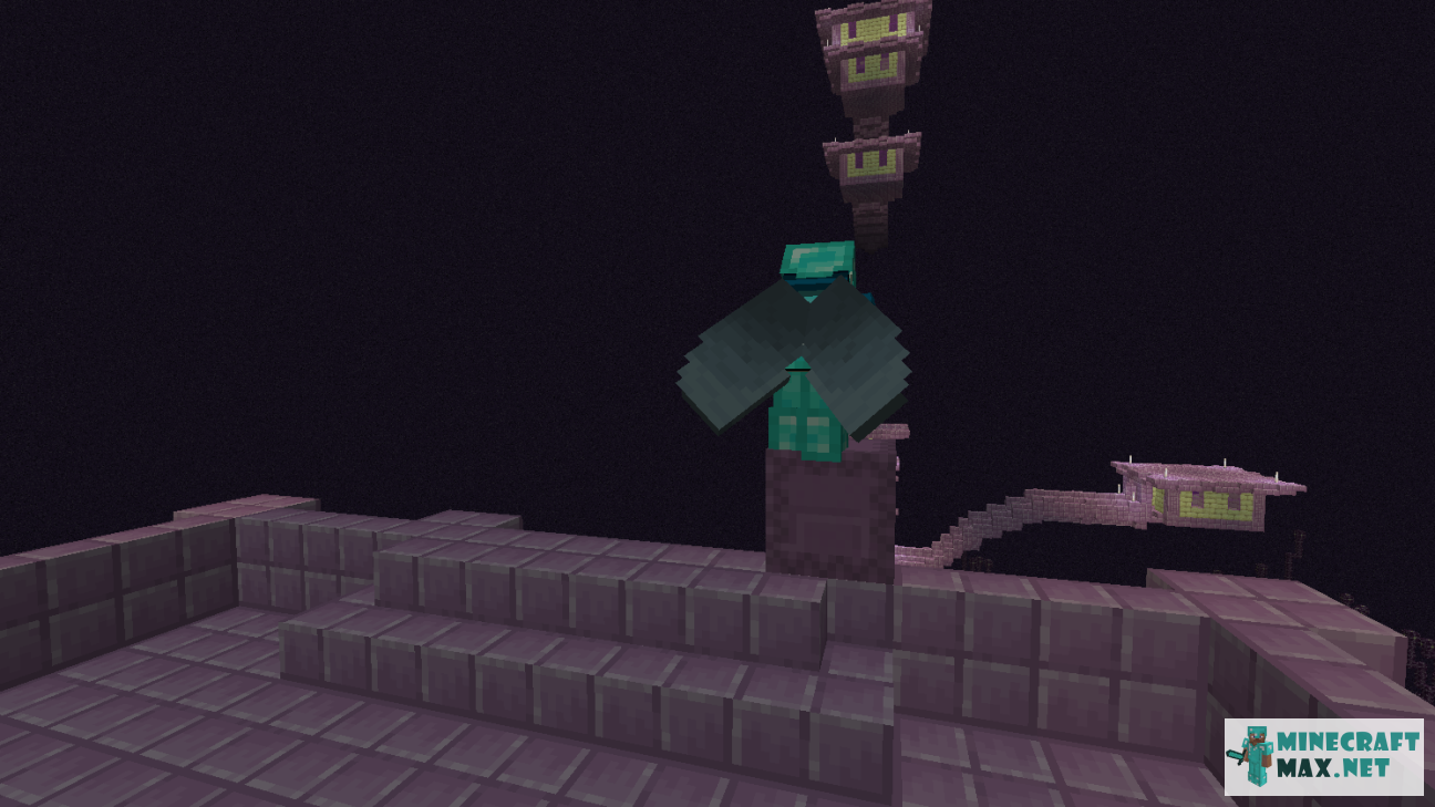 Black gem in Minecraft | Screenshot 1633
