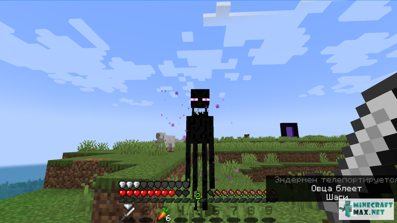 Quests Portrait of an aggressive enderman for Minecraft | Screenshot 5