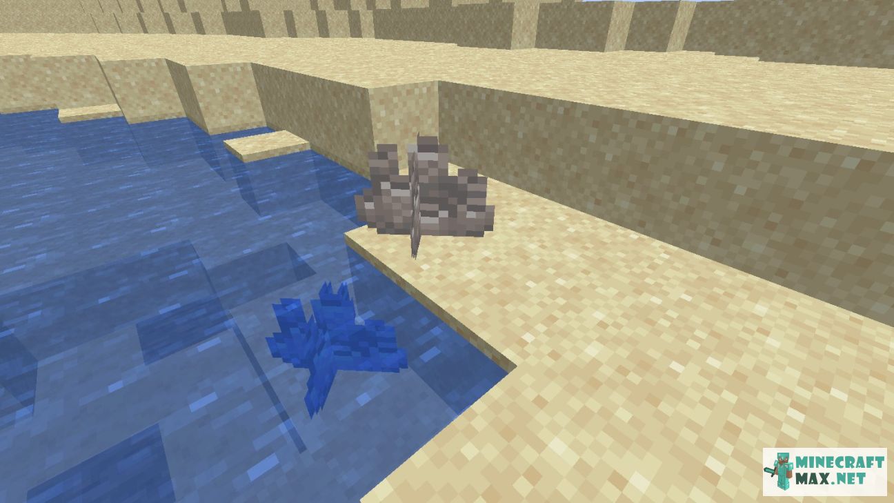 Dead Tube Coral in Minecraft | Screenshot 1
